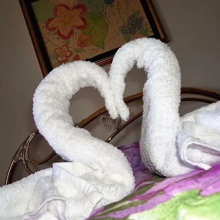 Dania * Assemini
